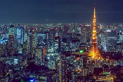 Lost in Translation Tokyo Adventure